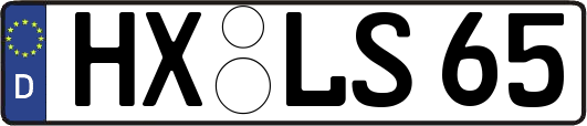 HX-LS65