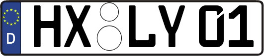 HX-LY01