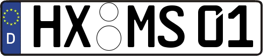 HX-MS01