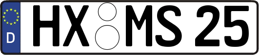 HX-MS25