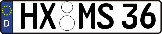 HX-MS36