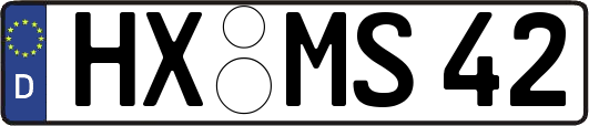 HX-MS42