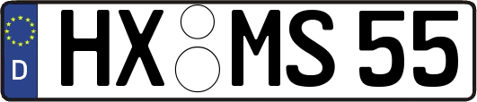HX-MS55
