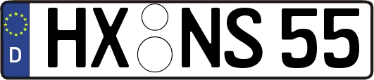 HX-NS55