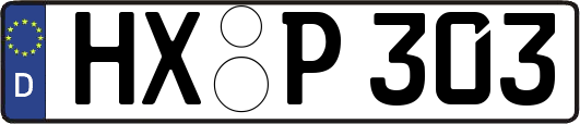 HX-P303