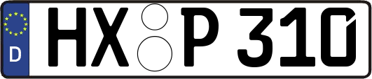 HX-P310