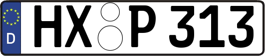 HX-P313