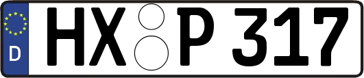 HX-P317