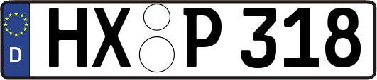 HX-P318