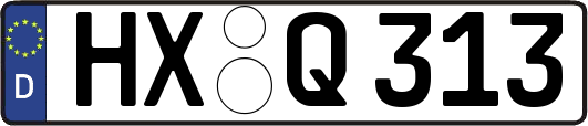HX-Q313