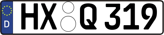 HX-Q319