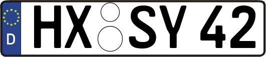 HX-SY42