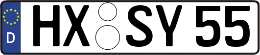 HX-SY55