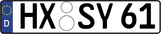 HX-SY61