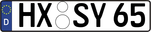 HX-SY65