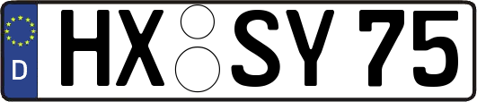 HX-SY75