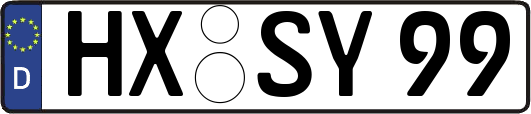 HX-SY99