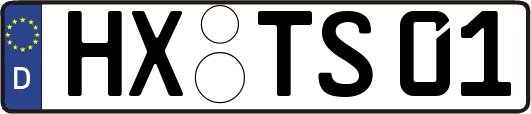 HX-TS01
