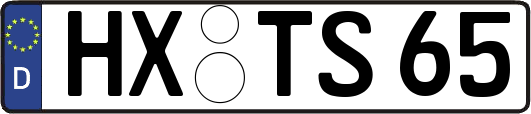 HX-TS65