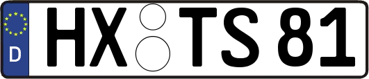 HX-TS81