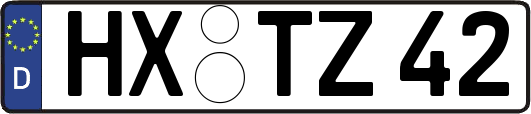 HX-TZ42