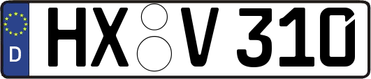 HX-V310
