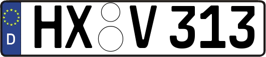 HX-V313