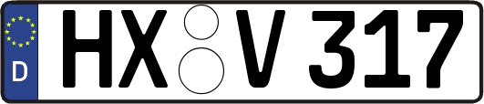 HX-V317