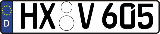 HX-V605