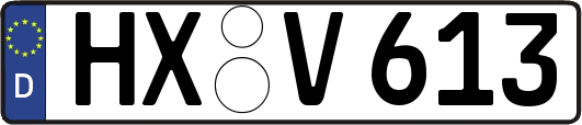 HX-V613