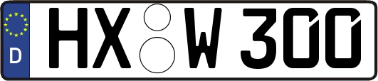 HX-W300
