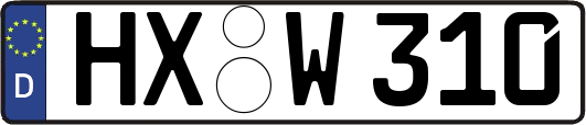 HX-W310