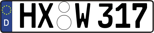 HX-W317