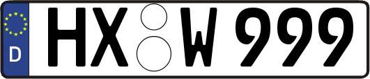 HX-W999
