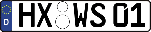 HX-WS01