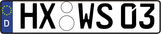 HX-WS03