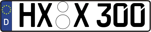 HX-X300