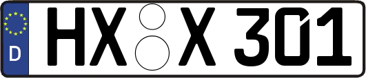 HX-X301