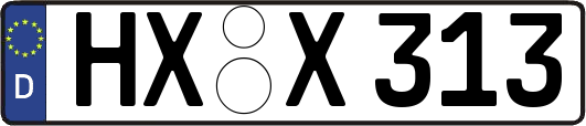 HX-X313