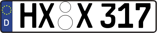 HX-X317
