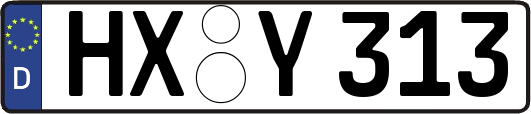 HX-Y313