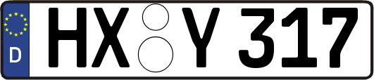 HX-Y317
