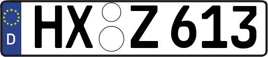 HX-Z613