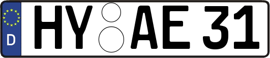 HY-AE31