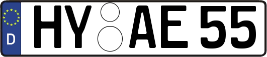 HY-AE55