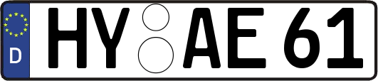 HY-AE61