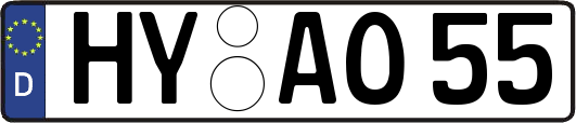 HY-AO55