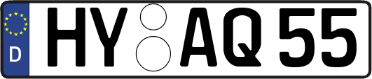HY-AQ55