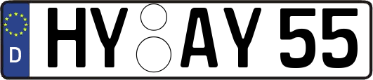 HY-AY55