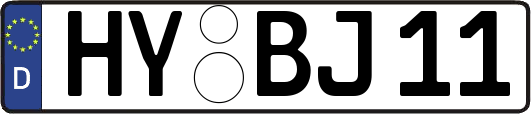 HY-BJ11